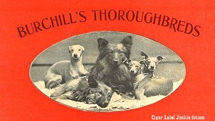 Burchills- cigar box label