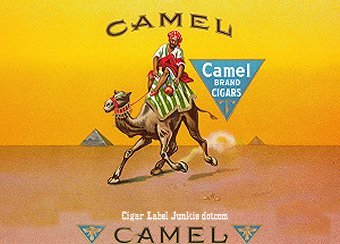 Camel cigar box label