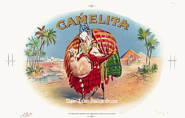 Camelita cigar box label