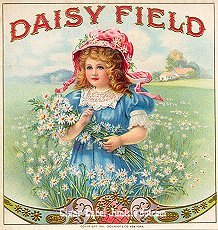 Daisy Field cigar label