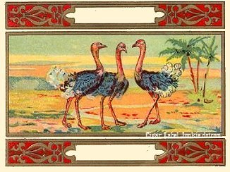 Tea Label- cigar box label