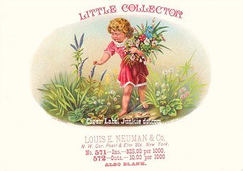 Little Collector cigar box label