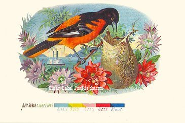 animals/birds theme cigar label