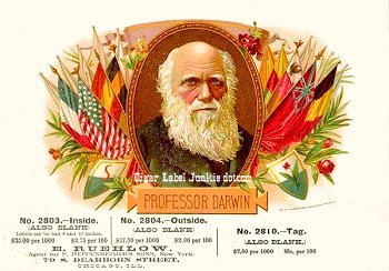 Prof Darwin cigar box label