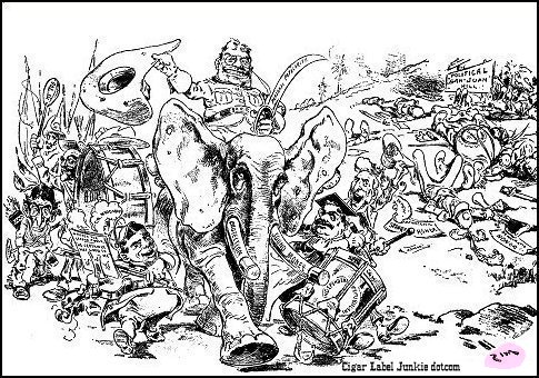 Zim's Teddy- cigar box label