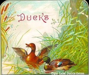 Ducks- cigar box label