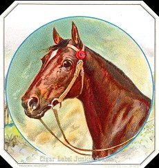UT Horse- cigar label