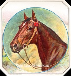 UT Race Horse outer cigar label