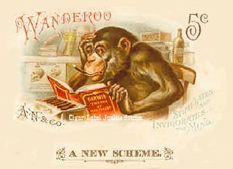 Wanderoo- cigar box label