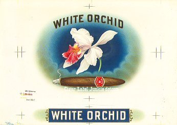 White Orchid-cigar box label
